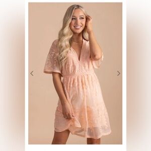 Blush Lace Mini Dress